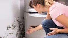 Proč je plíseň v domě nebezpečná a jak jí předcházet