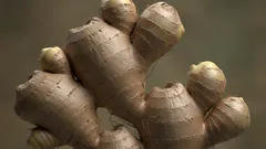 Prostředek proti stárnutí a vítěz nad cukrem