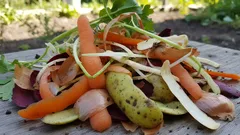 Prospěšné vlastnosti slupek ovoce a zeleniny