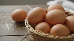 Jak správně připravovat vejce a drůbeží maso, aby se člověk nenakazil ptačí chřipkou